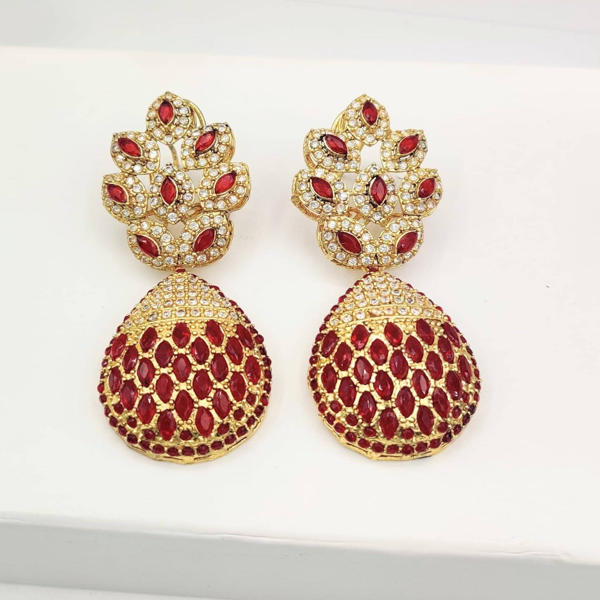 Elegant Fancy Ear Rings (FSE156)