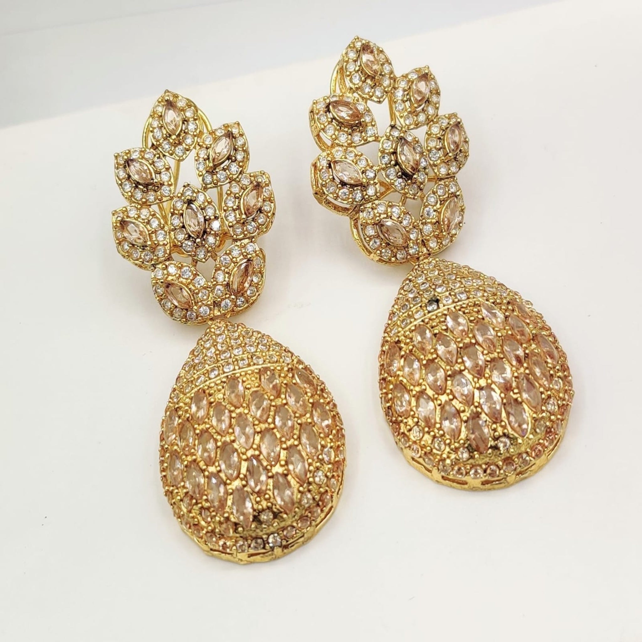 Elegant Fancy Ear Rings (FSE156)